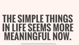 the-simple-things-in-life-seems-more-meaningful-now-quote-1